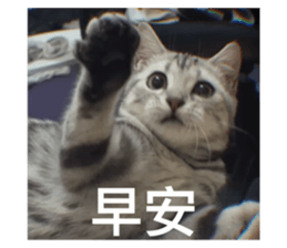 632396611