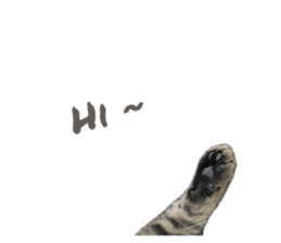 632404641