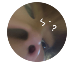 632439330