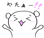 63244091