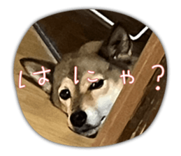 632452622