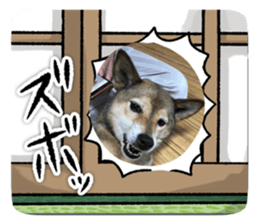632452625