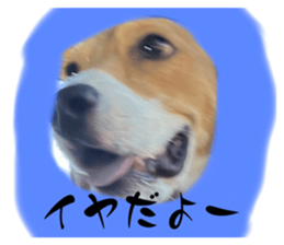 632471408