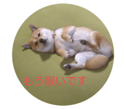 632483087