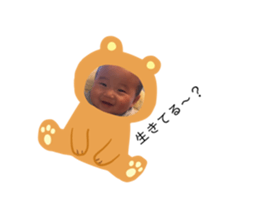 63248528