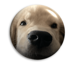 ลายที่ 1