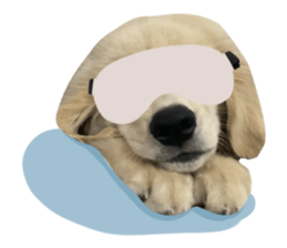 ลายที่ 5