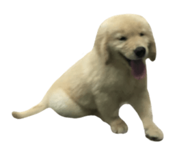 ลายที่ 7