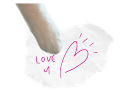 ลายที่ 19