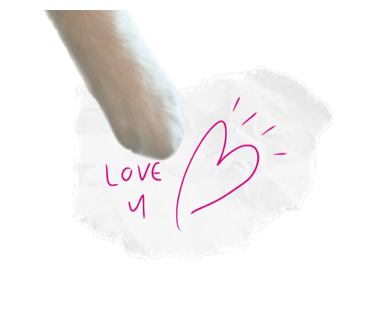 ลายที่ 10