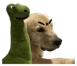 ลายที่ 27