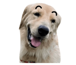 ลายที่ 33