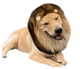 ลายที่ 35