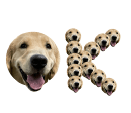 ลายที่ 55