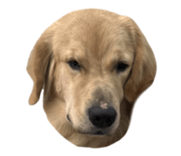 ลายที่ 57