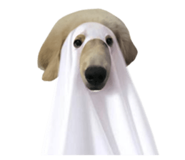 ลายที่ 61