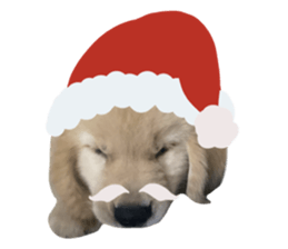 ลายที่ 65