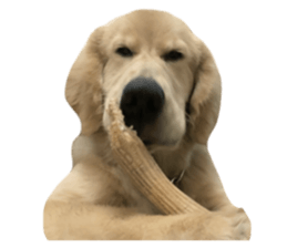 ลายที่ 73