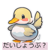 632548615
