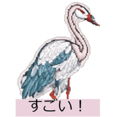 632548616
