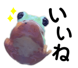 632548862