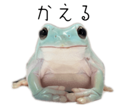 632548866