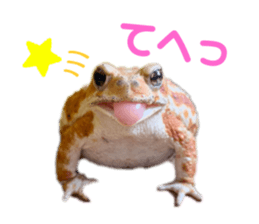 632548873