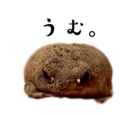 632548876