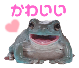 632548883