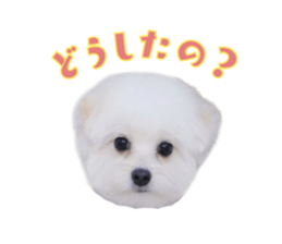 632553580