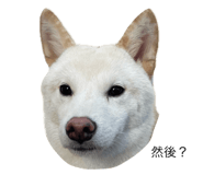 632557497