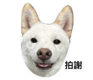 632557499