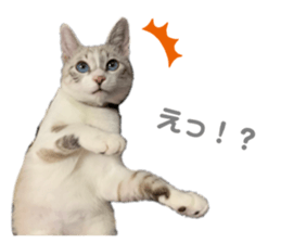 632575409