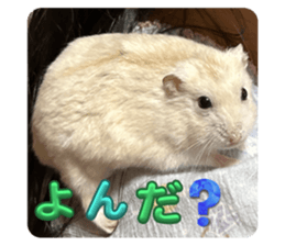 632575790