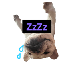 632600296