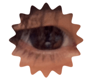 632608421