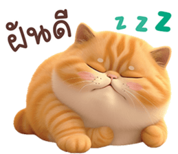632622213