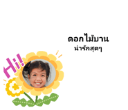 632632377