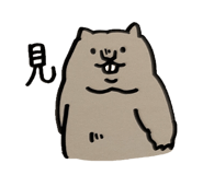 632659039