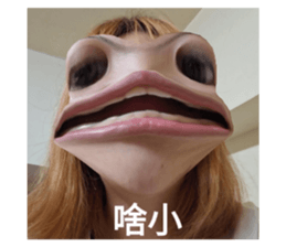 632676392