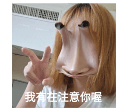 632676395