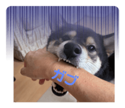 632720762