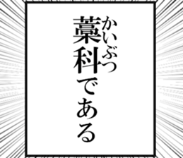 632731846