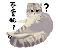 632787376