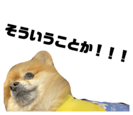 632803508