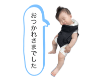 632804556