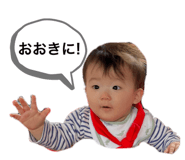 632804559