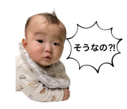 632804564