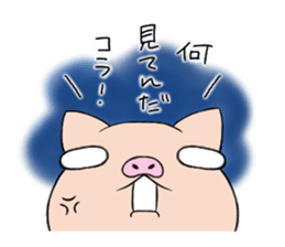6328079