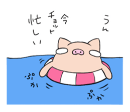 6328082